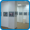 Фотографии с выставки. 2008-ой год.